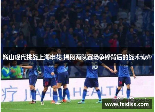 巍山现代挑战上海申花 揭秘两队赛场争锋背后的战术博弈