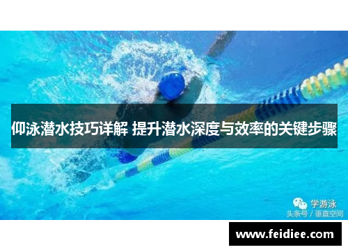 仰泳潜水技巧详解 提升潜水深度与效率的关键步骤