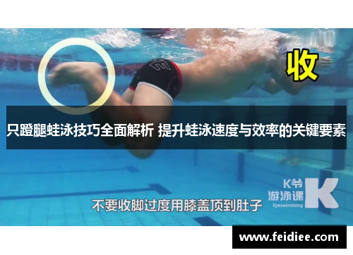 只蹬腿蛙泳技巧全面解析 提升蛙泳速度与效率的关键要素