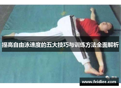 提高自由泳速度的五大技巧与训练方法全面解析