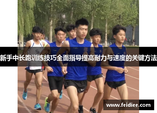 新手中长跑训练技巧全面指导提高耐力与速度的关键方法