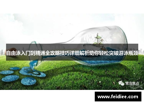 自由泳入门到精通全攻略技巧详细解析助你轻松突破游泳瓶颈