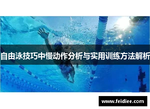 自由泳技巧中慢动作分析与实用训练方法解析