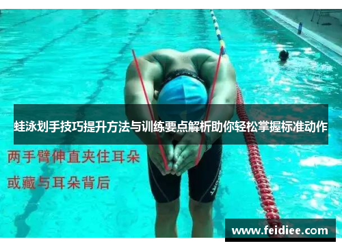蛙泳划手技巧提升方法与训练要点解析助你轻松掌握标准动作