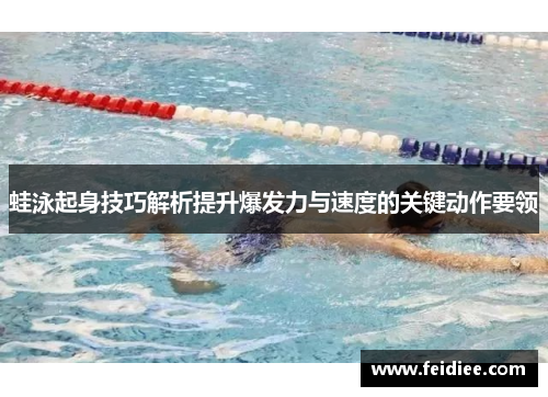 蛙泳起身技巧解析提升爆发力与速度的关键动作要领
