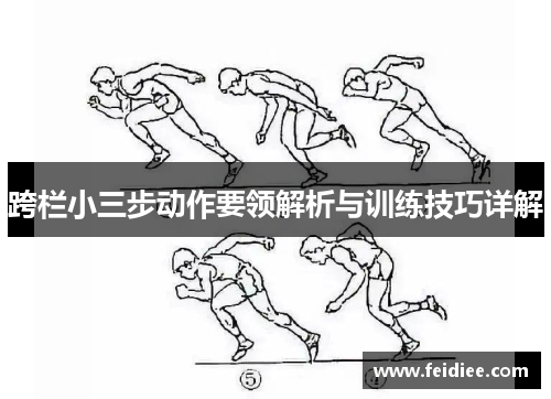 跨栏小三步动作要领解析与训练技巧详解