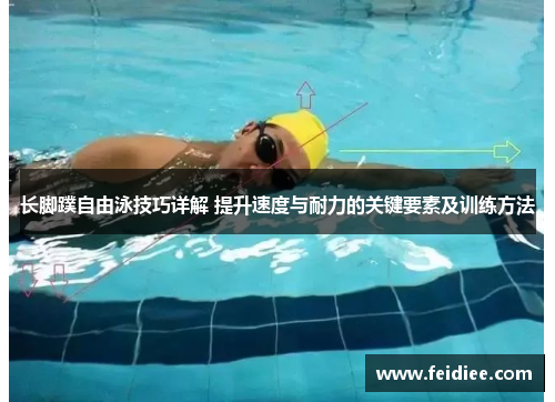 长脚蹼自由泳技巧详解 提升速度与耐力的关键要素及训练方法