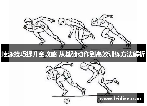蛙泳技巧提升全攻略 从基础动作到高效训练方法解析