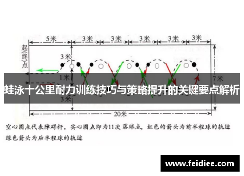 蛙泳十公里耐力训练技巧与策略提升的关键要点解析